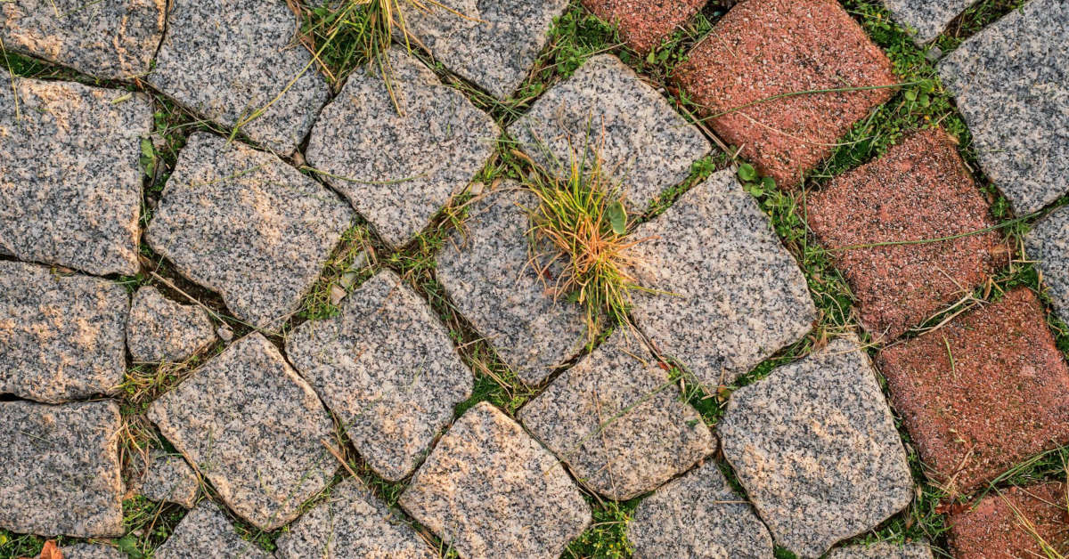 Jak usunąć trawę z kostki brukowej domowym sposobem?