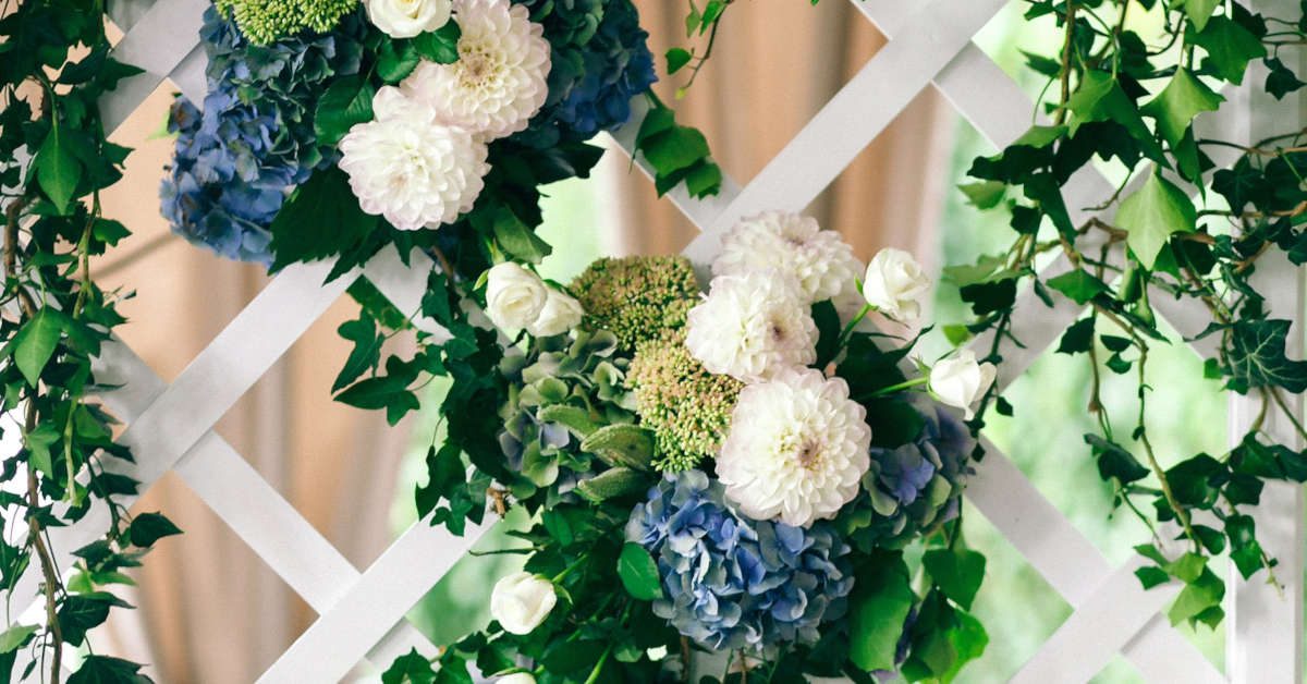 Jak zrobić pergole na róże?