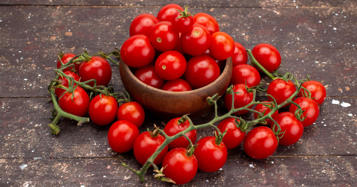 Pomidory koktajlowe na balkonie – uprawa, pielęgnacja