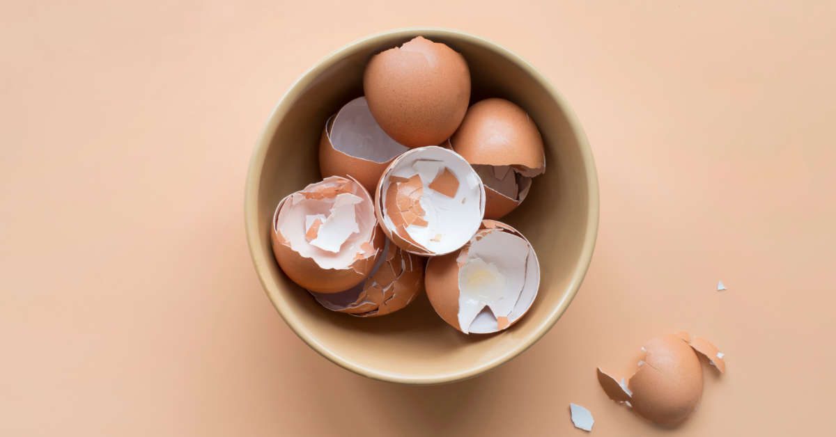 Skorupki jajek – pod jakie rośliny najlepiej stosować?