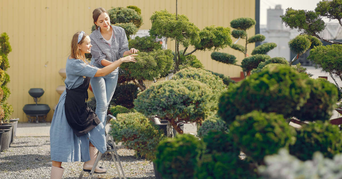 Ile kosztuje projekt ogrodu? Cennik 2025/2026