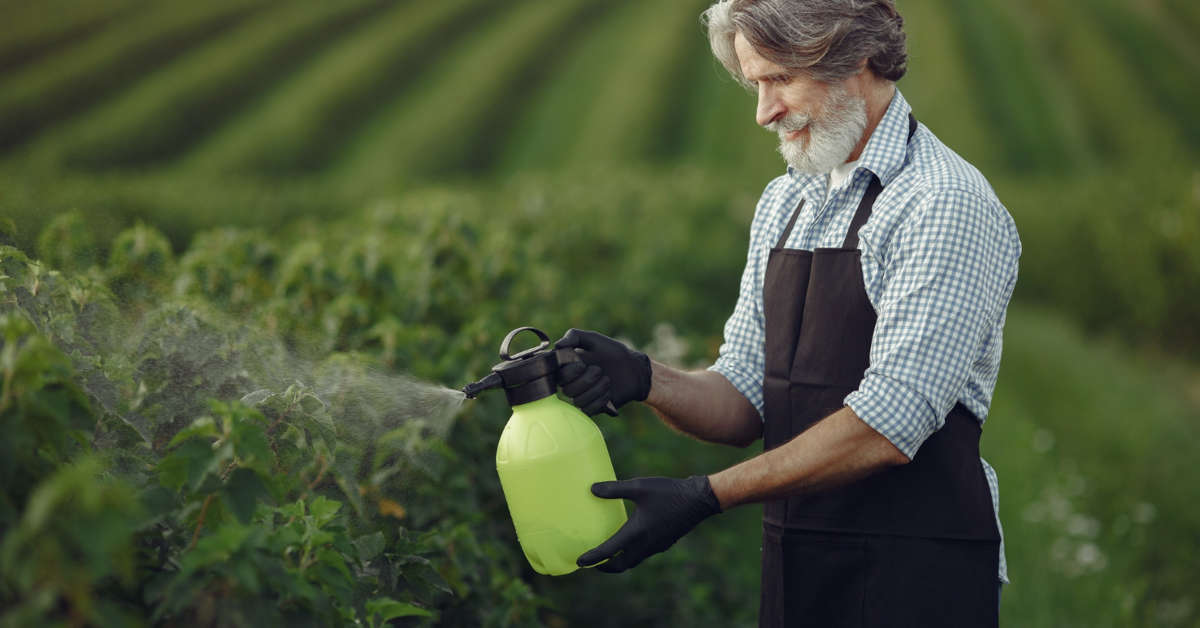 Miedzian – szkodliwość dla ludzi. Co warto wiedzieć?