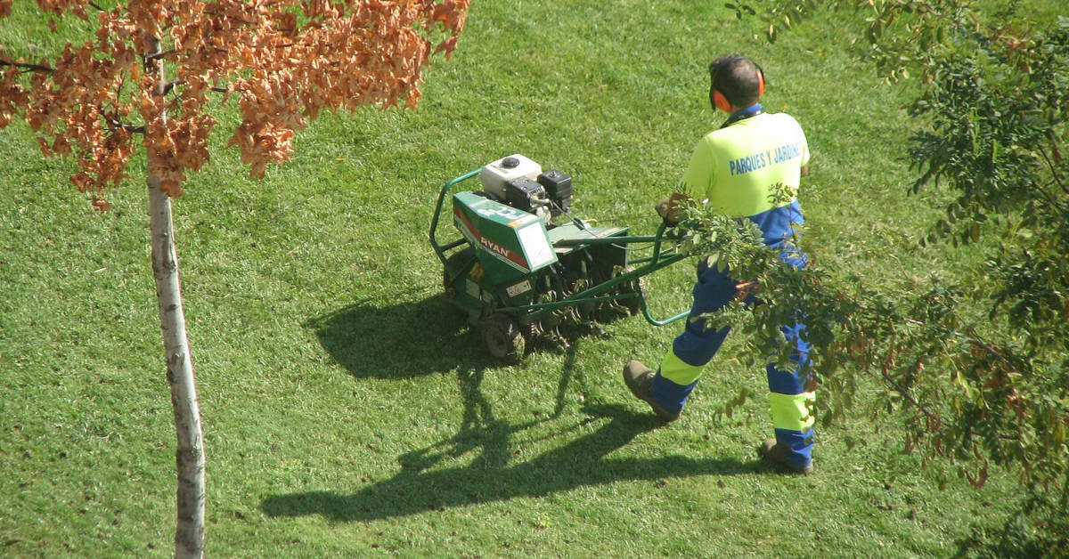 Aerator do trawnika – jaki wybrać i jak go używać?