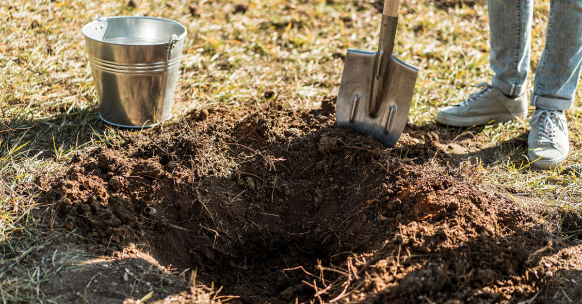 Ile kosztuje wykopanie studni głębinowej?