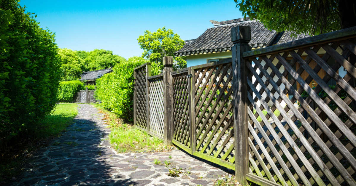 Jakie drzewa posadzić wzdłuż ogrodzenia? Nasze inspiracje!