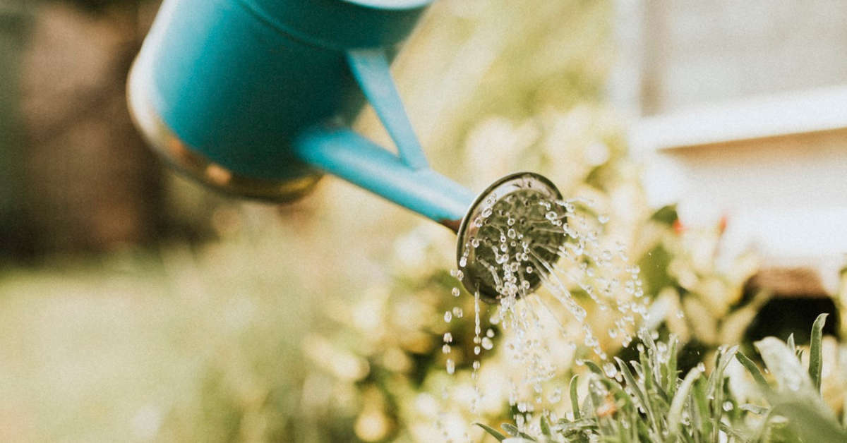 Nawóz z drożdży – jak zrobić i stosować?