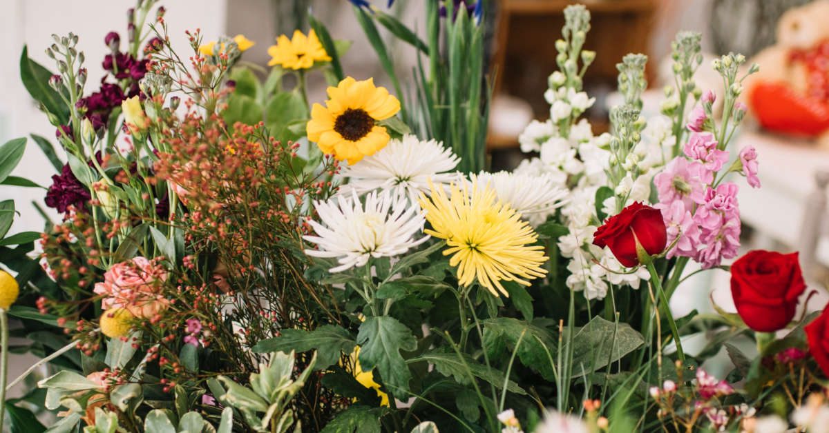 Sól gorzka w ogrodnictwie – jak ją wykorzystać?