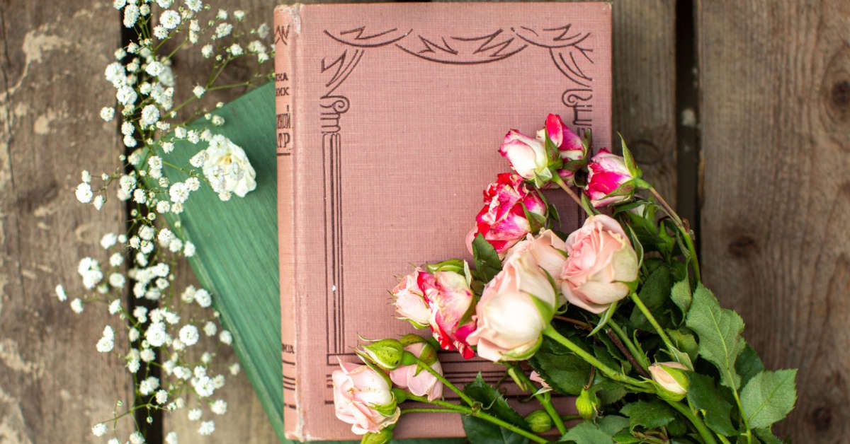 Kwiaty doniczkowe – nazwy alfabetycznie | lista 220 roślin