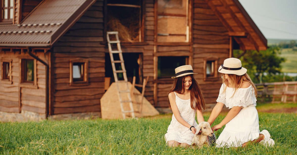 Budowa domku letniskowego – koszty, wymogi prawne