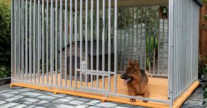 Kojce dla psów – bezpieczeństwo i wygoda