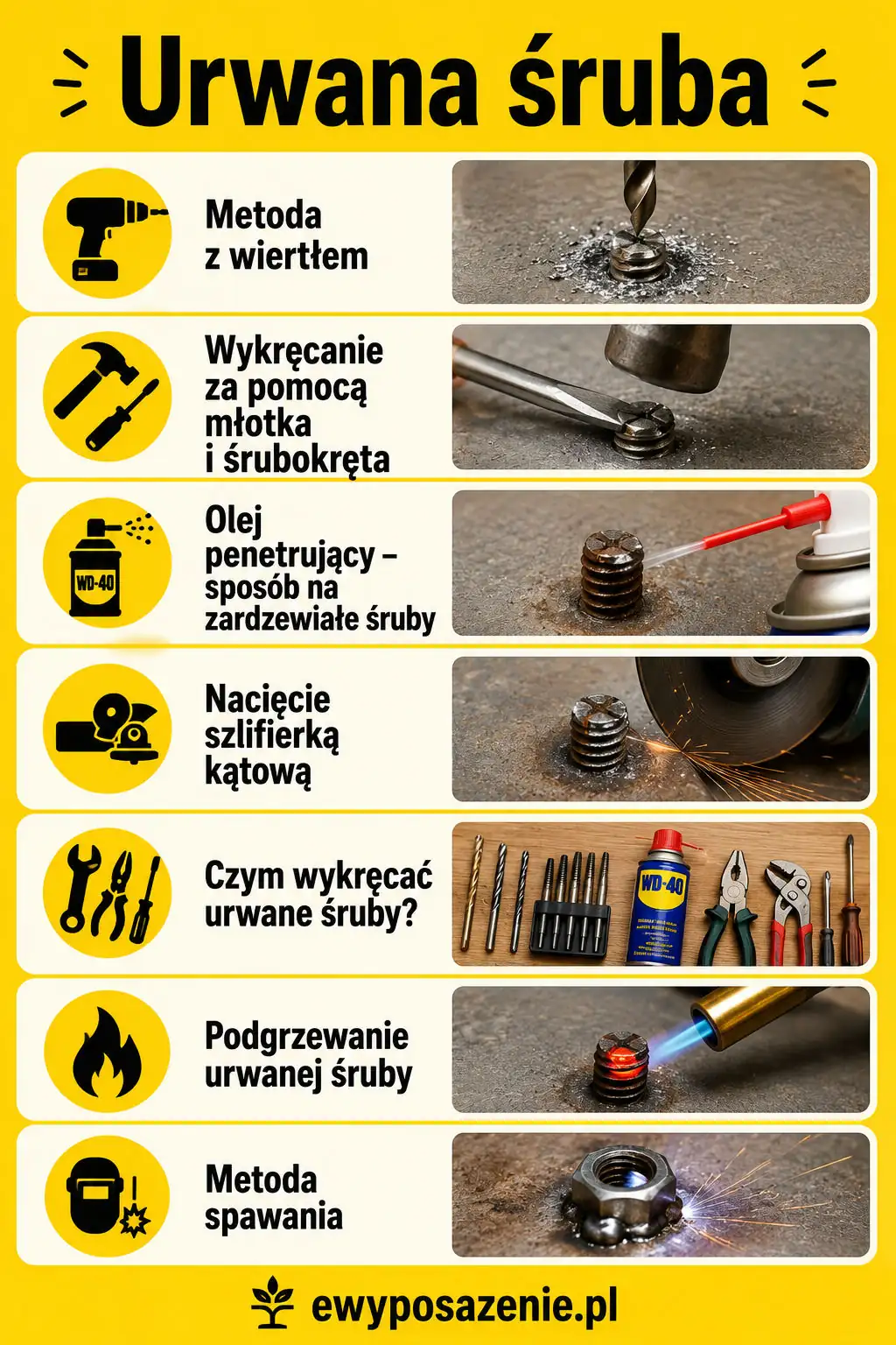 urwana śruba infografika