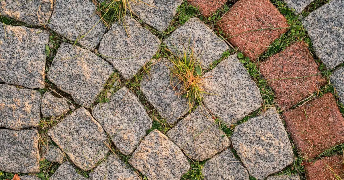 Jak usunąć trawę z kostki brukowej domowym sposobem?