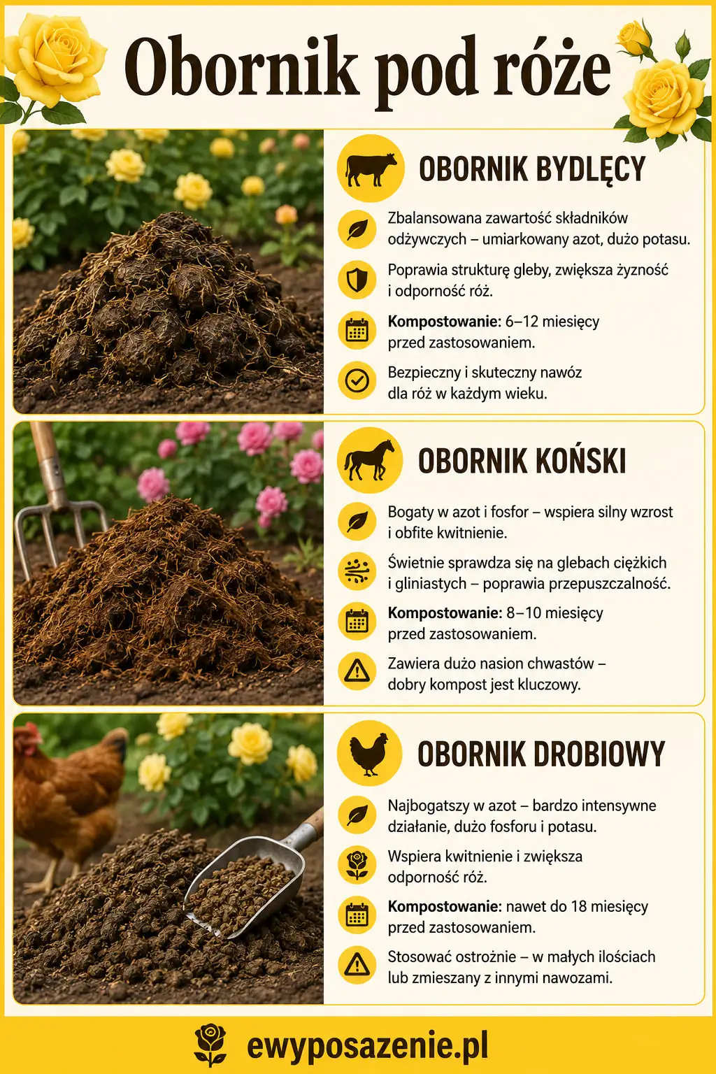 obornik pod róże infografika