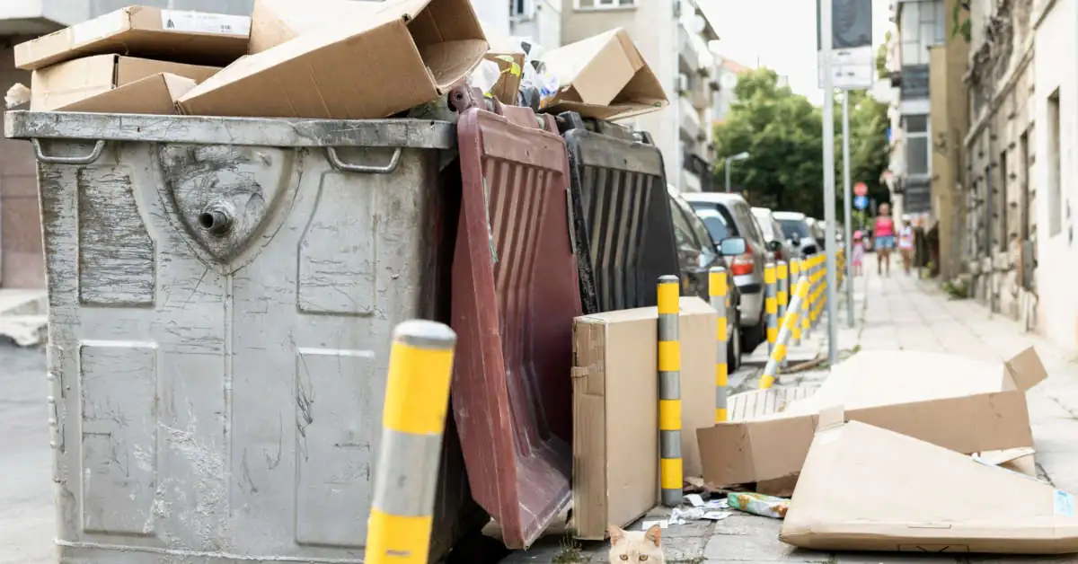 Ile kosztuje wynajęcie kontenera na gruz
