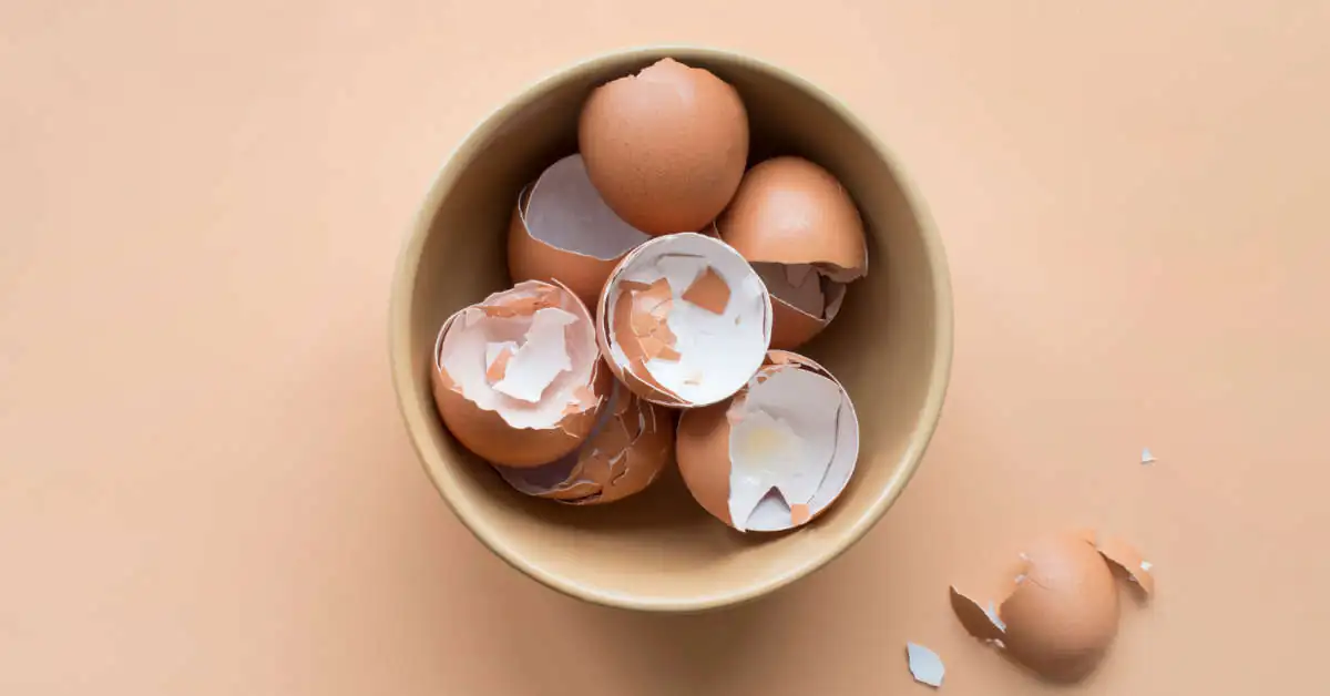 Skorupki jajek – pod jakie rośliny najlepiej stosować?