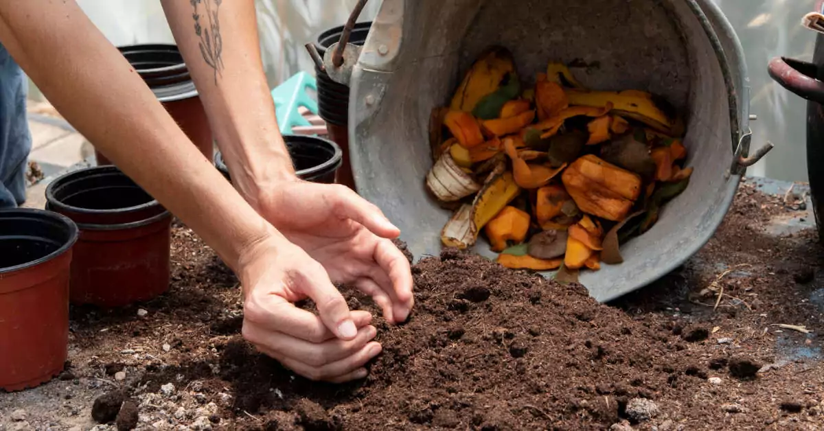 Jak zrobić kompostownik ogrodowy?