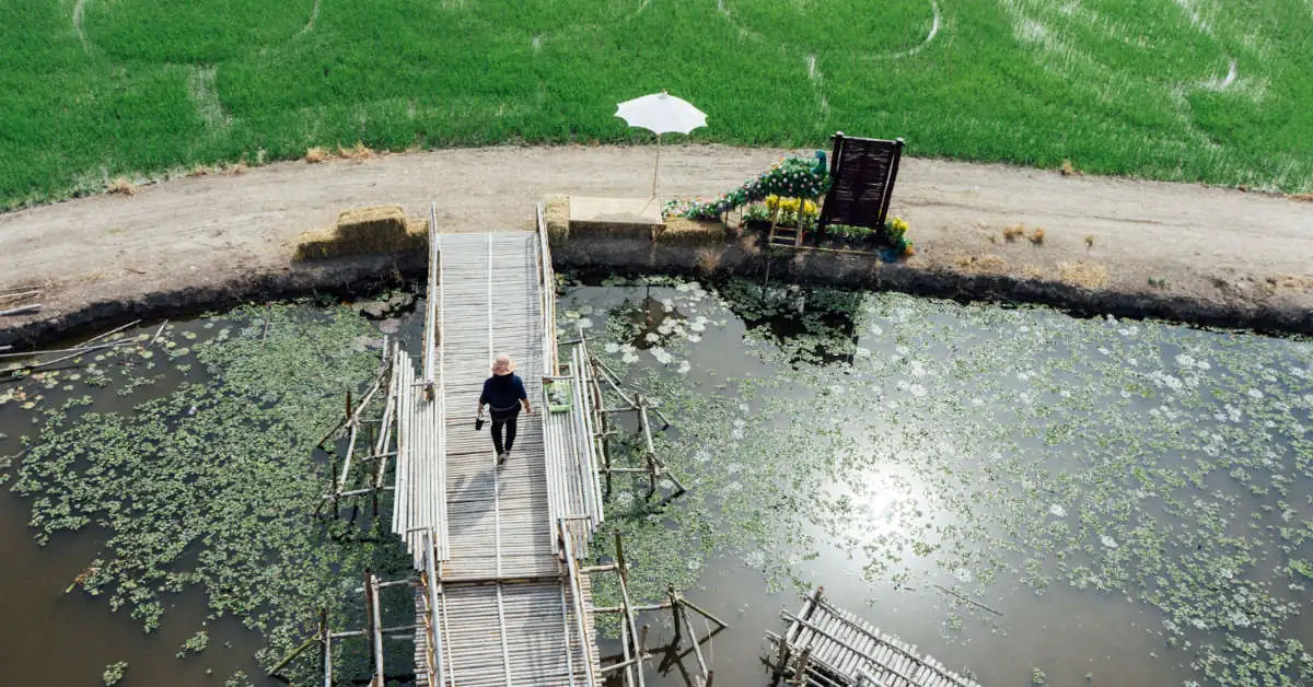 Ile kosztuje wywóz szamba