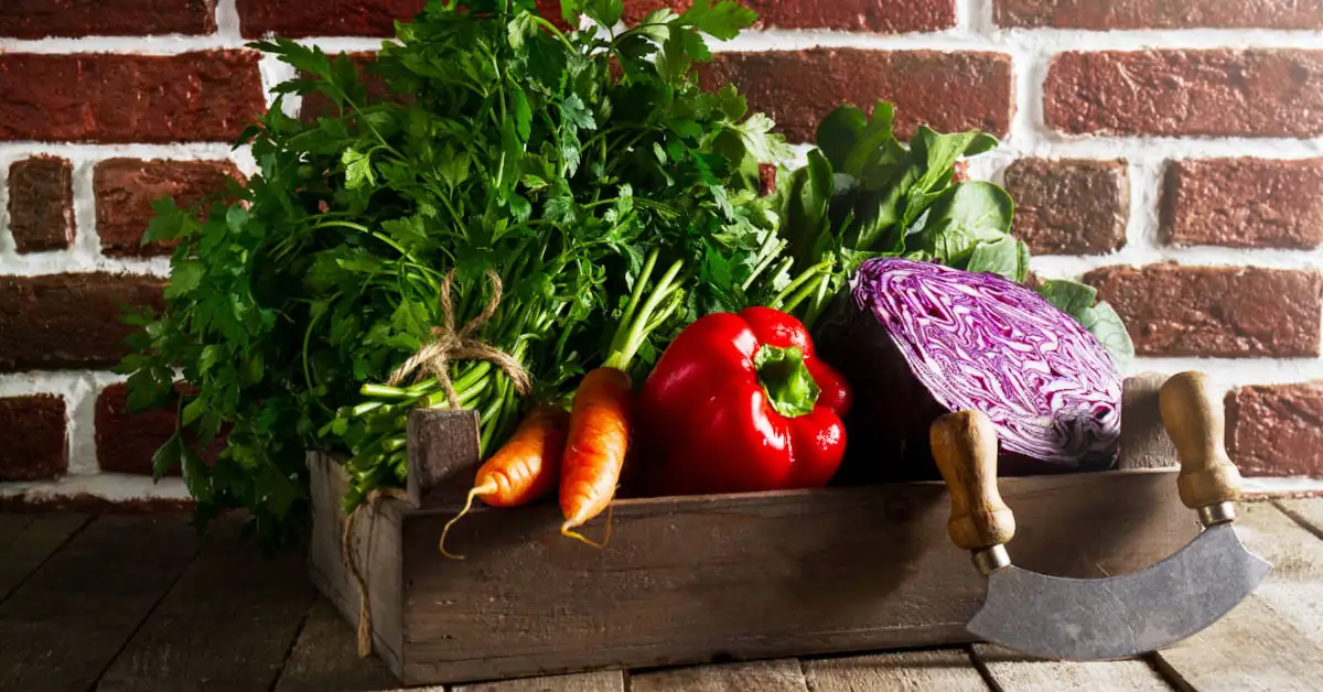 Jak zrobić skrzynię na warzywa z palet?