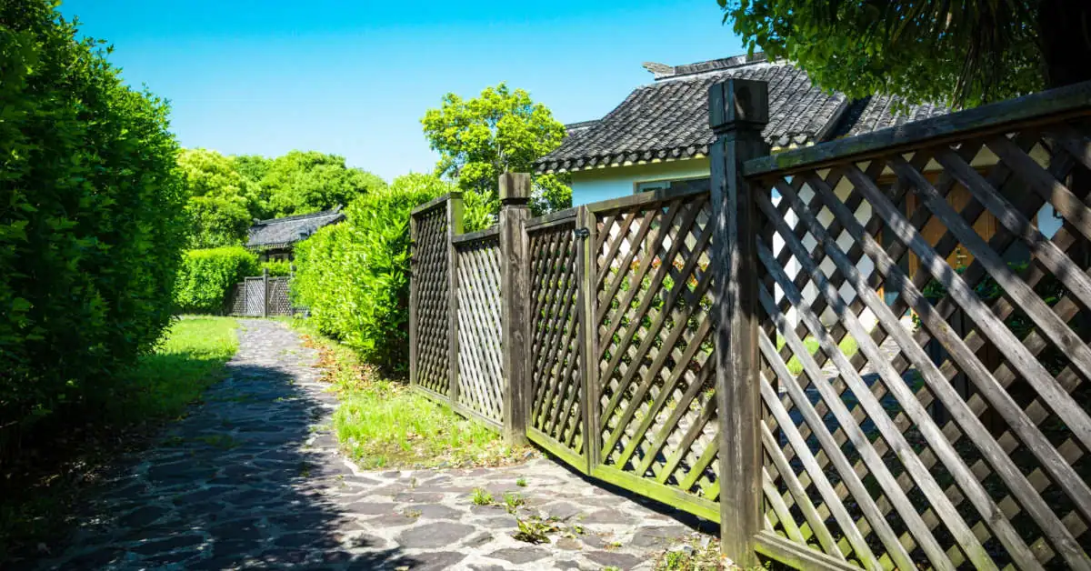 Jakie drzewa posadzić wzdłuż ogrodzenia? Nasze inspiracje!