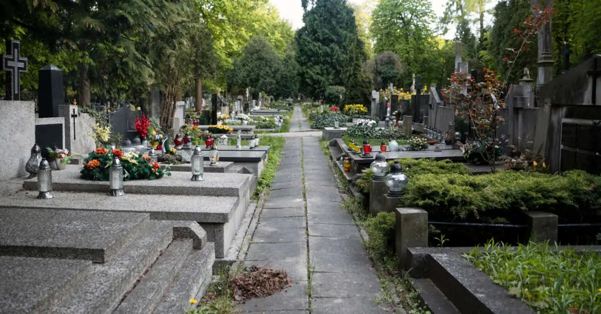 Kwiaty na cmentarz żywe w doniczce – co wybrać?