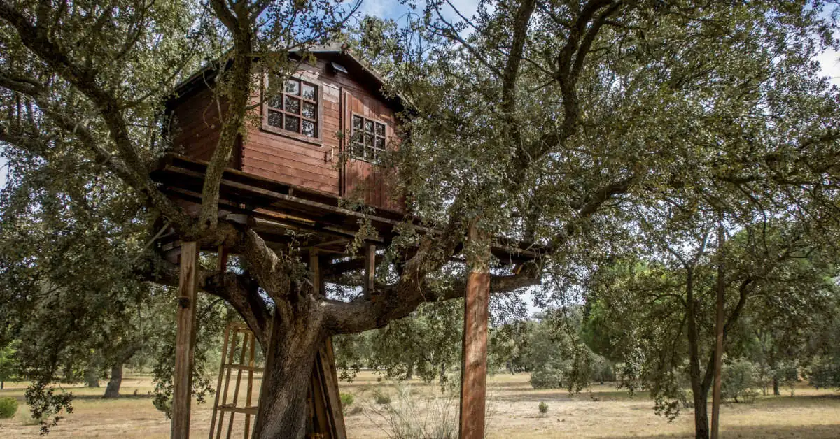 Domek na drzewie – jak zrobić samemu?