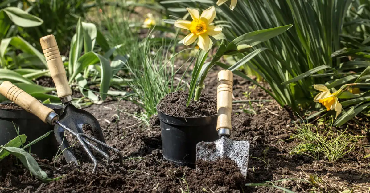 Ziemia do kwiatów – rodzaje, zastosowanie, porady