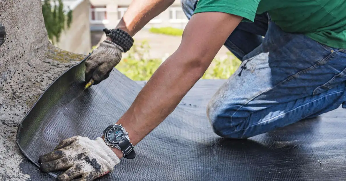 Lepik do papy na zimno – jak stosować?