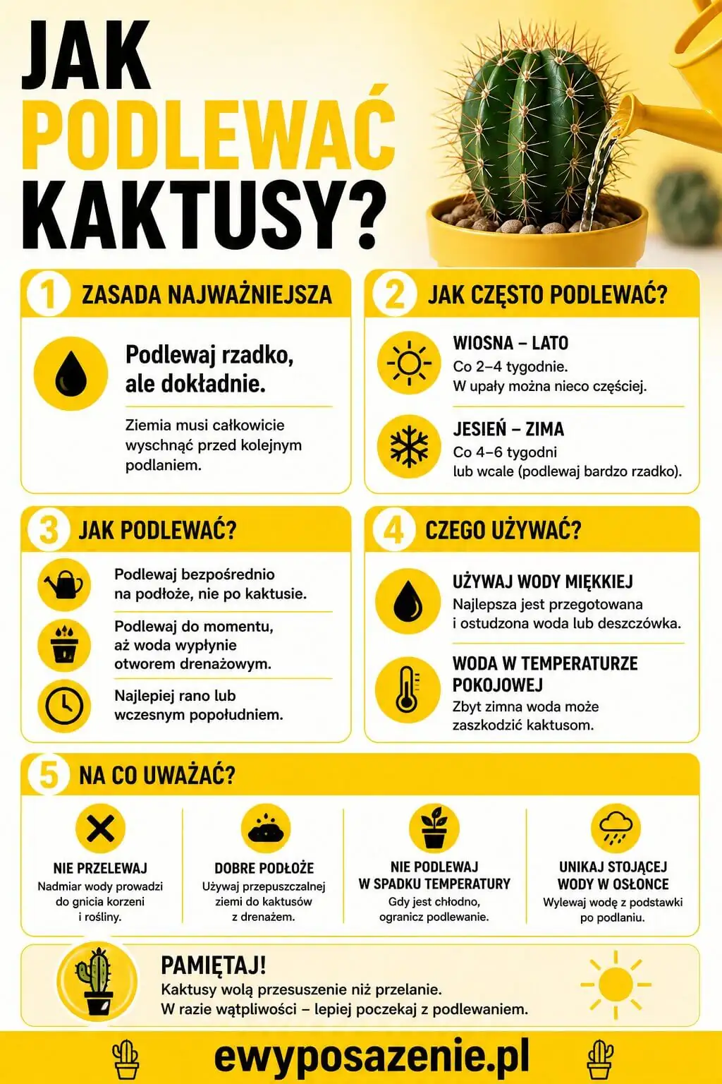 Jak podlewać kaktusy infografika 