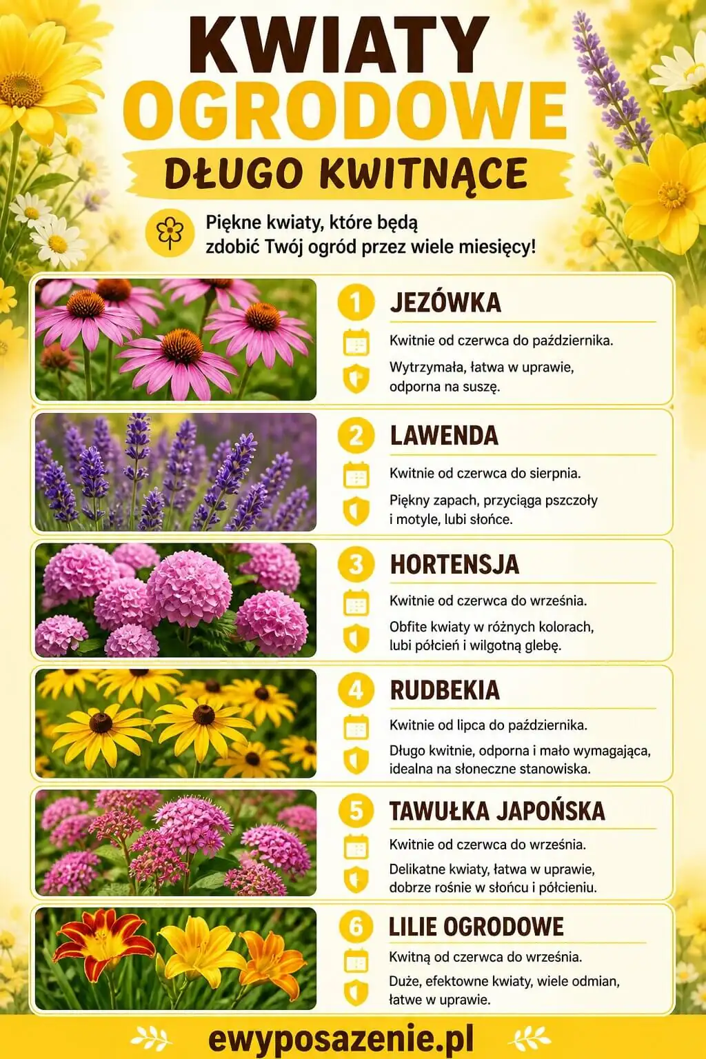 Kwiaty ogrodowe długo kwitnące infografika 