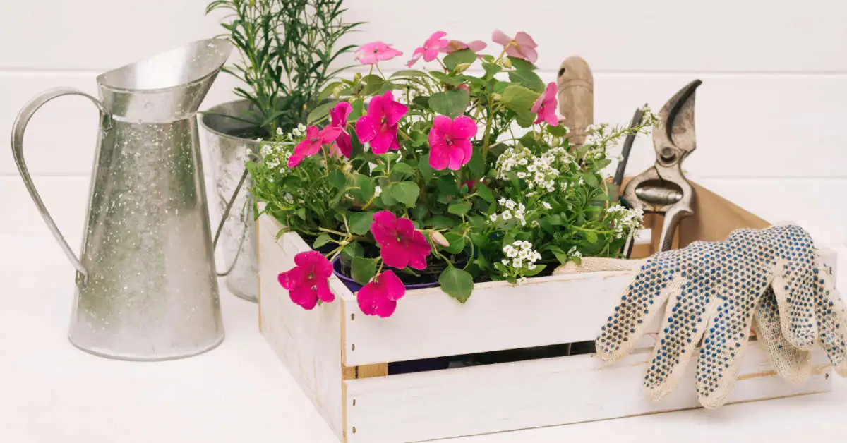 Nowoczesne kompozycje kwiatowe w donicach – inspiracje