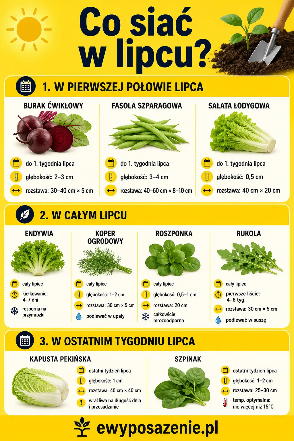 Co siać w lipcu infografika