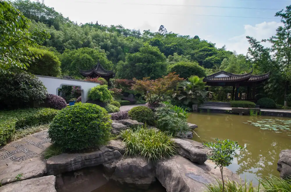 ogród japońki pielęgnacja