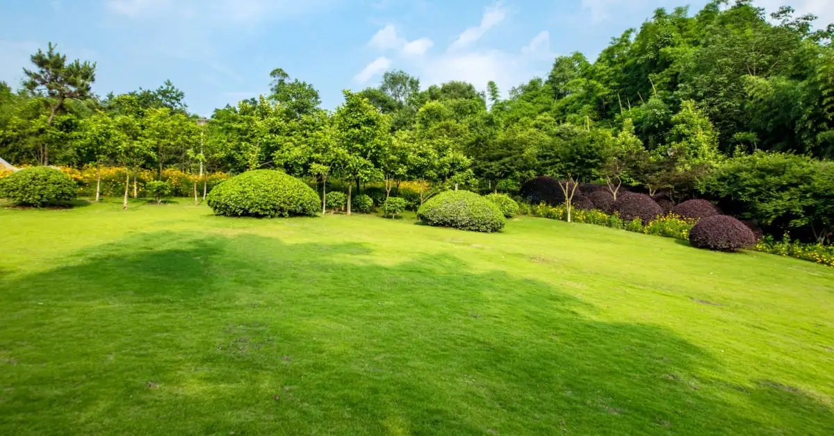 Aeracja trawnika – kiedy i jak ją wykonać?