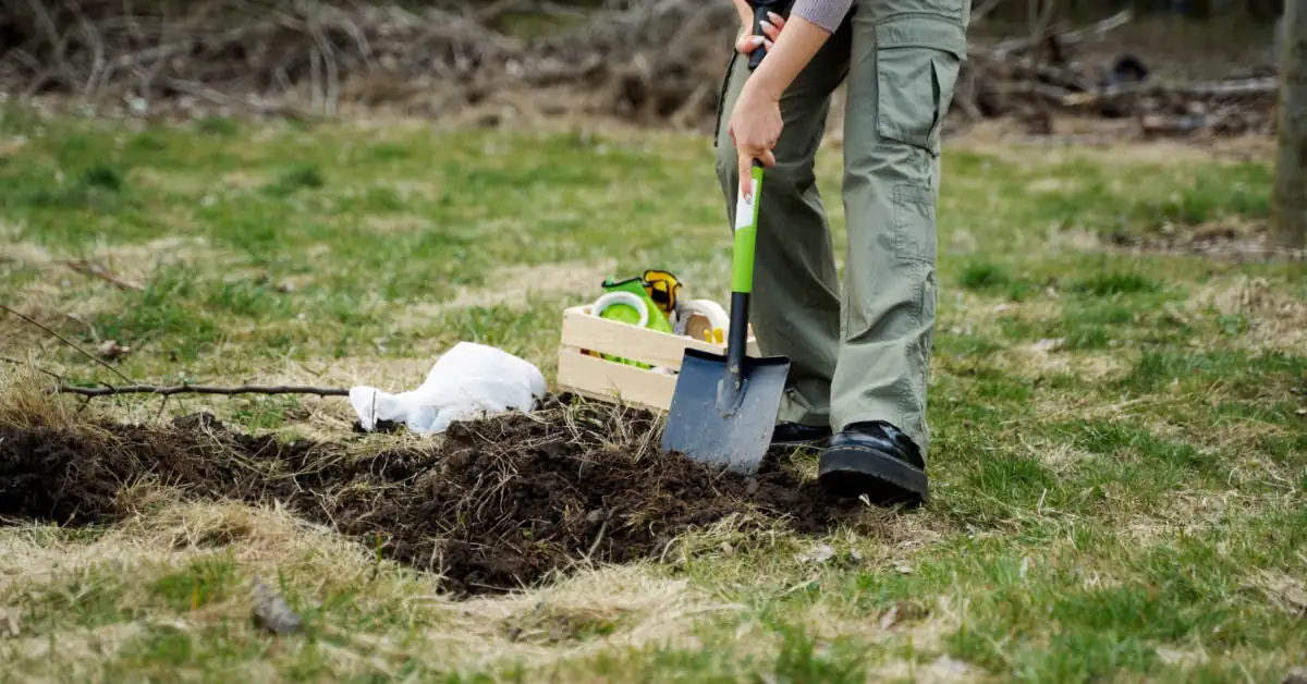 Ziemia pod trawnik – jaka będzie najlepsza?