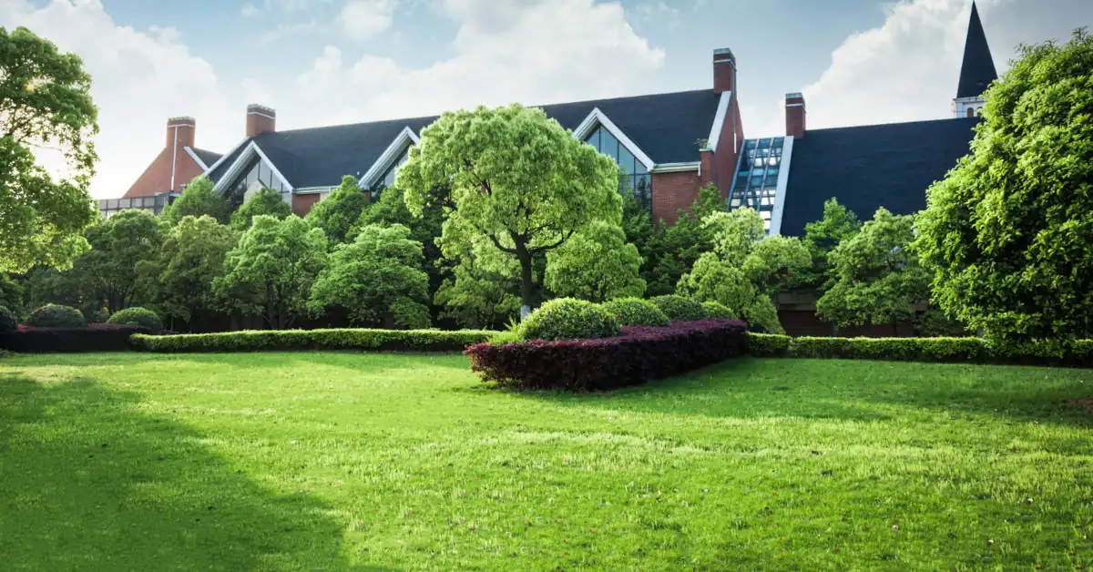 Jesienny nawóz do trawy – co wybrać i jak stosować?