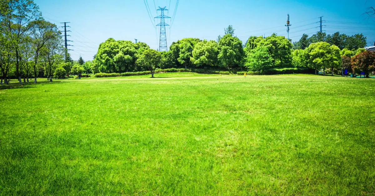 Na czym polega piaskowanie trawnika i jak je wykonać?