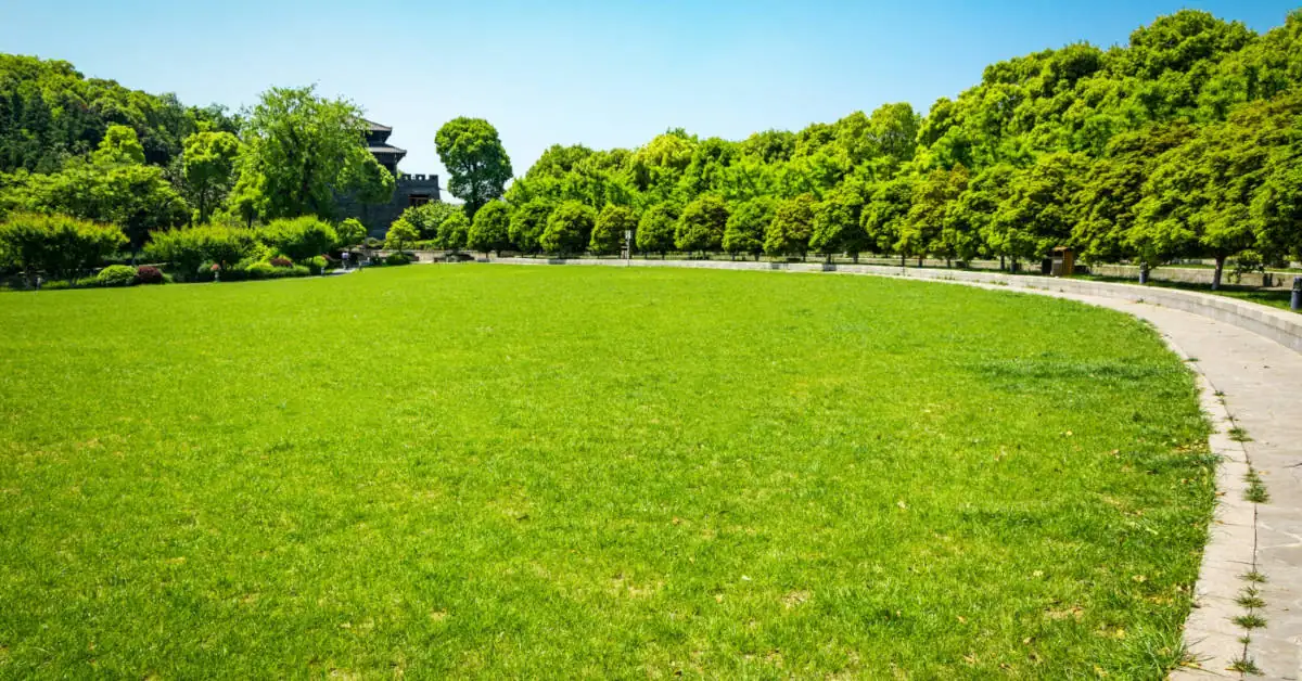 Nawóz wiosenny do trawy – co wybrać i jak stosować?