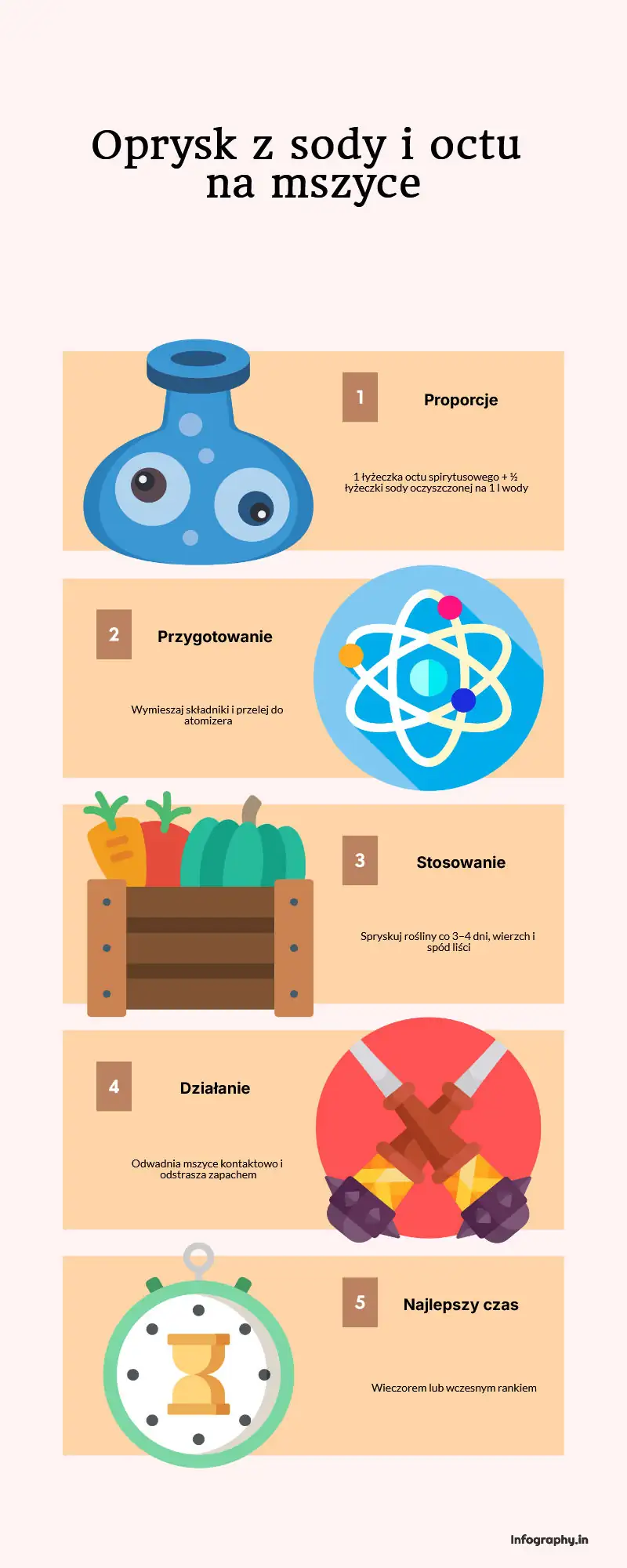 oprysk na mszyce z sody i octu - infografika