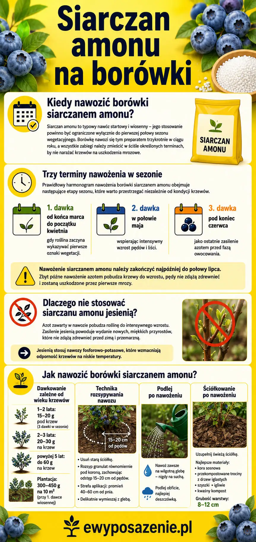 siarczan amonu na borówki infografika