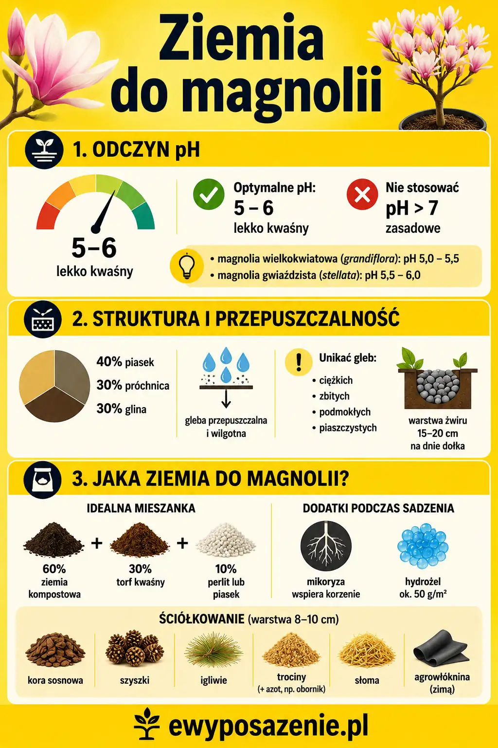 ziemia do magnolii infografika